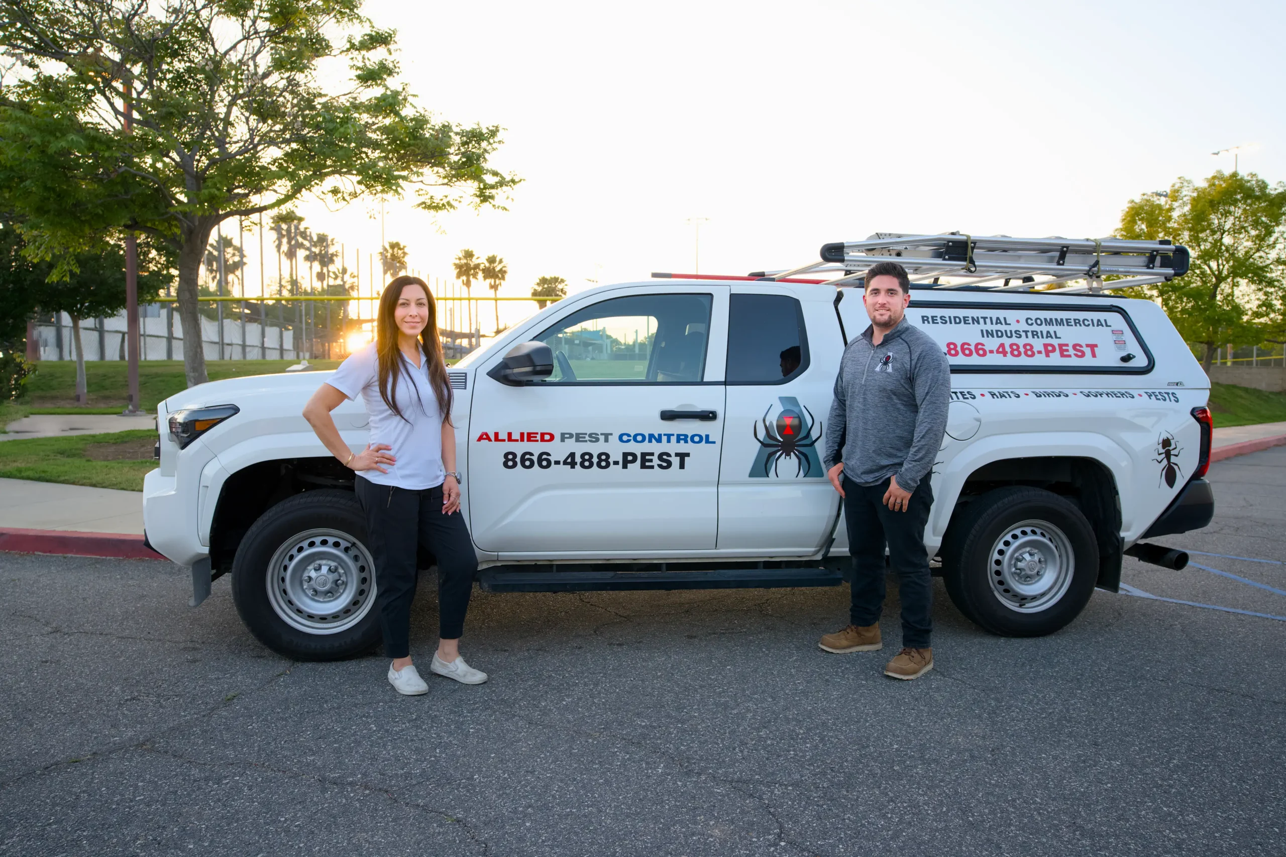 allied pest